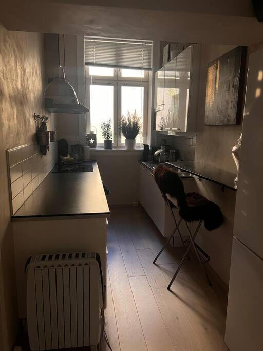 Royal Neighbourhood Elegant Flat In Central Oslo Dış mekan fotoğraf