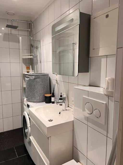 Royal Neighbourhood Elegant Flat In Central Oslo Dış mekan fotoğraf